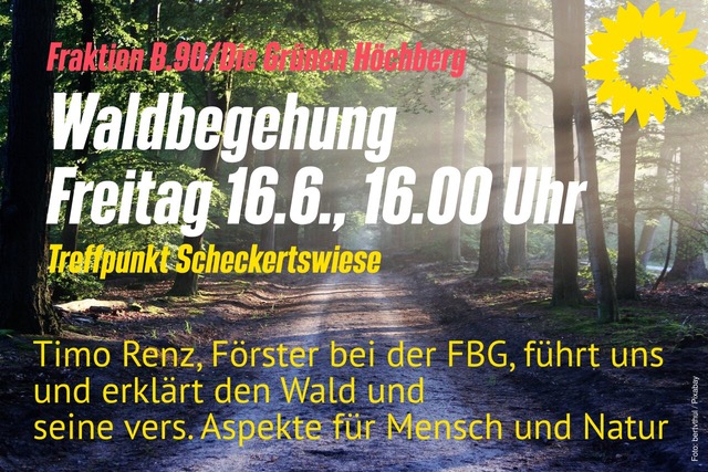 Sharepic von der Veranstaltung "Waldbegehung, Freitag 16.6. um 16:00 Uhr"