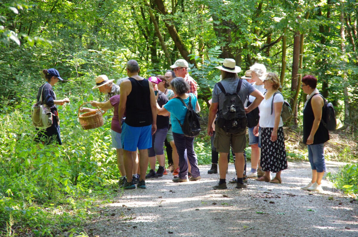 Gruppenfoto im Wald