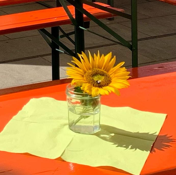 Eine Sonnenblume im Glas auf einer typischen orangenen Bierbank. 